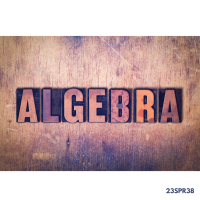 23SPR38 From Number to Algebra