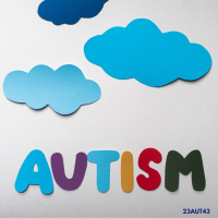 23AUT43 An Introduction to Teaching Autistic Children: Where to Start; What to prioritise; How to Thrive