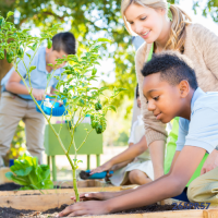 26SPR57 F2F: Gardening in School