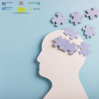 26SPR74 (LL) Introduction to CBT 