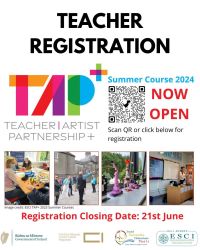 TAP - Teacher Artist Partnership